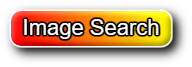 Video/Image Search