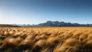2B65Y2RP.jpg