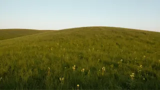 51ZRZVS5.jpg