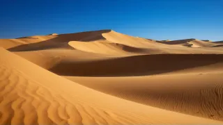 5WXOTPKC.jpg
