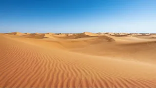 CGX8X0R8.jpg