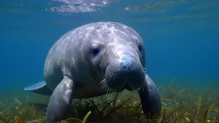 D7N8YNX0.jpg
