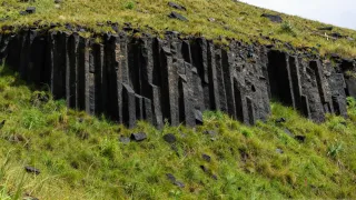 F8A0C967.jpg