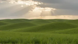 MUHKUKF4.jpg