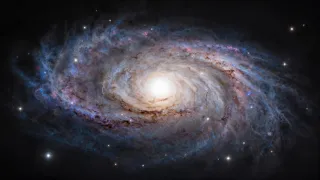 OCACIZA1.jpg