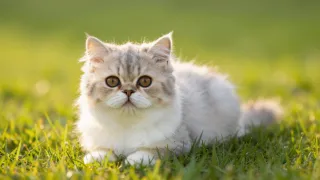 Q5Y5D6A6.jpg