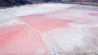 U0DDWM7N.jpg