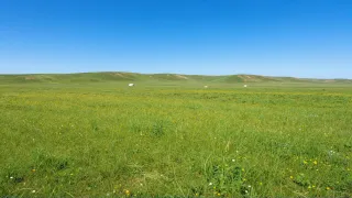 UJQ5H8C0.jpg