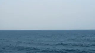 W1ALI61N.jpg