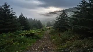 X0B79565.jpg